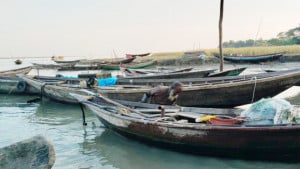 মাছ ধরায় নিষেধাজ্ঞার দুই সপ্তাহ পরও চাল পাননি জেলেরা