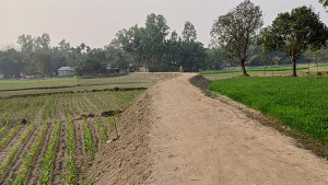 সড়ক বাঁচাতে গিয়ে গ্রামছাড়া কৃষক