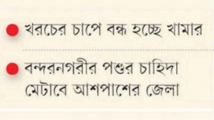 চট্টগ্রামে কমেছে ১ লাখ ১৯ হাজার কোরবানির পশু