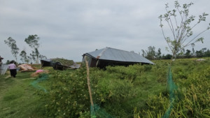 কালবৈশাখীর তাণ্ডবে লণ্ডভণ্ড গাইবান্ধা, আশ্রয়হীন শতাধিক পরিবার