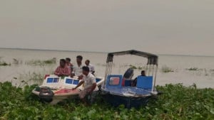 ২৩ গরুসহ পদ্মা নদীতে ভেসে যাওয়া ব্যবসায়ী এখনও উদ্ধার হয়নি