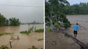 বৃষ্টিপাত ও ঢলের পানিতে ডুবে গেছে ফসলি মাঠ