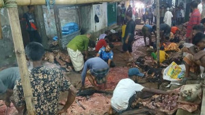 অনেকেই চামড়া রেখেছেন পুঁতে, কেউ ভাসিয়েছেন নদীতে