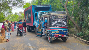 টুঙ্গিপাড়ায় মোটরসাইকেল-কাভার্ডভ্যান সংঘর্ষে নারী নিহত