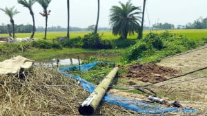 কালবৈশাখীর তাণ্ডবে বিদ্যুৎহীন ৩০ হাজার মানুষ