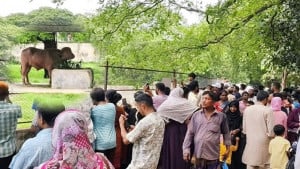 চিড়িয়াখানায় ‘ডোনাল্ড ট্রাম্প’ দেখতে দর্শনার্থীর ভিড়  