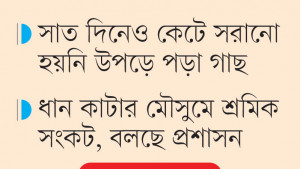 কালবৈশাখীর তাণ্ডব সাত দিন ধরে, ঘরছাড়া মানুষের আকুতি