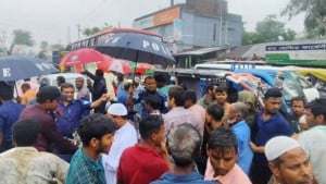 নালার মুখ আটকে মাছ চাষ ডুবছে শতাধিক একরের ধান