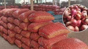 মণে ৪২ কেজি পেঁয়াজ চান ব্যবসায়ীরা