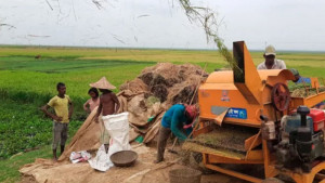 ধান কেনার সরকারি শর্ত কৃষকের জন্য বাধা