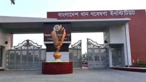 বিজ্ঞানীদের দলাদলিতে ব্রির গবেষণা স্থবির