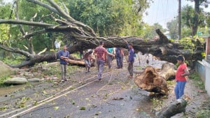 কালবৈশাখীর তাণ্ডবে অন্ধকারে ৭৫ গ্রাম