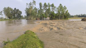 ঢলে বাঁধ ভেঙে লোকালয়ে পানি