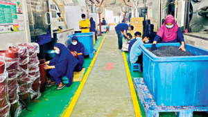 ফেলে দেওয়া প্লাস্টিক পুনর্ব্যবহার সম্ভাবনার নতুন দুয়ার