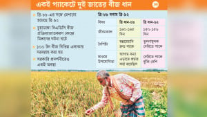 কৃষকের ক্ষতির পেছনে বিএডিসির বীজও