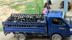অভিযোগ পেয়ে ৪০ জনের ছাগল পাল্টে দিল প্রশাসন