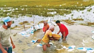 এখনও পানির নিচে অনেক ক্ষেত