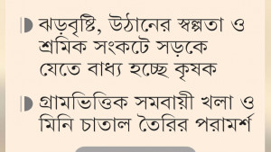 ধান মাড়াই-শুকানোর জায়গা নেই, তাই রাস্তায়