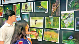 জীববৈচিত্র্য দিবসে পদযাত্রা ও চিত্র প্রদর্শনী