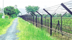কাঁটাতারের বেড়া: সার্বভৌমত্বের নিরাপত্তা, নাকি মৃত্যুর ফাঁদ?