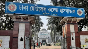 কোরবানি দিতে গিয়ে ঢাকায় আহত ৮০