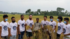 ছাত্রলীগ কর্মীরা ধান কেটে দিচ্ছেন, হালুয়াঘাটে ভিডিও ভাইরাল