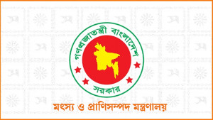 ভারত থেকে গরু আমদানির অনুমতিপত্রটি ভুয়া: প্রাণিসম্পদ মন্ত্রণালয়