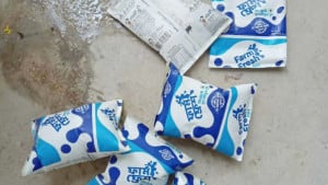 বিদ্যালয়ে দেওয়া দুধের প্যাকেটে পোকা, টকটক গন্ধ