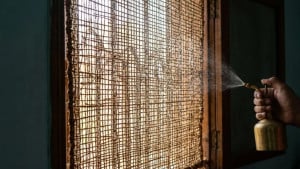 গরমে শরীর ঠান্ডা রাখার প্রাকৃতিক উপায়