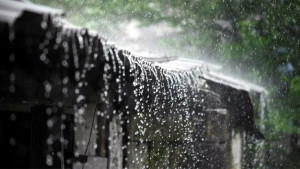 ময়মনসিংহ ও সিলেট বিভাগে ভারী বর্ষণের শঙ্কা