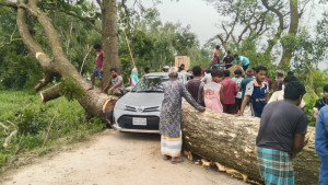 ঝড়ে উড়ল শত শত ঘরের চালা, ৫ ইউনিয়নে বিদ্যুৎ বিচ্ছিন্ন