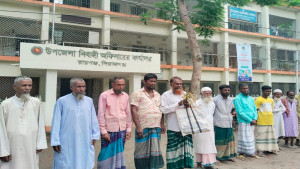 ইটভাটার তাপে ৪৩ বিঘা ধান নষ্ট