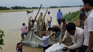 সুনামগঞ্জে বাঁধ ভেঙে হাওরে পানি, ফসল ডুবছে কৃষকের