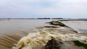 নেত্রকোনায় ফসল রক্ষা বাঁধ ভেঙে হাওরে পানি প্রবেশ