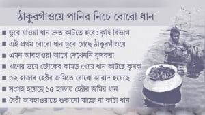 ‘ডুবে ডুবে ধান না কাটলে সারা বছর খাব কী!’