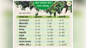 উত্তরাঞ্চলের আমের অপেক্ষা শেষ হচ্ছে