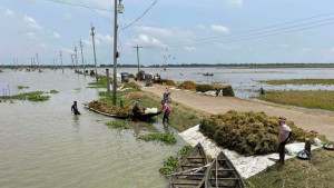 হাওরাঞ্চলে বন্যা পরিস্থিতির উন্নতি