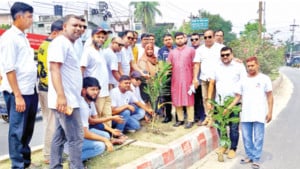 দুই দিনে ৩০০ গাছের চারা রোপণ