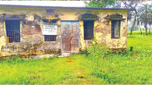 খসে খসে পড়ছে বিম-প্লাস্টার, ভেতরে বসত বিষধর সাপের