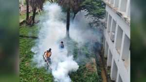 আবাসিক হলগুলোতে মশার উপদ্রব, ডেঙ্গু নিয়ে উদ্বেগ