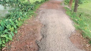 বুল্লাবাজার-সিংহগ্রাম বেহাল সড়কে সীমাহীন দুর্ভোগ