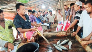 মেঘনায় মিলছে না কাঙ্ক্ষিত ইলিশ