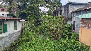 দখল দূষণে গতি হারিয়েছে পীরতলা খাল