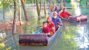 দৌলতপুরে পদ্মার পানিতে ডুবে গেছে পথঘাট