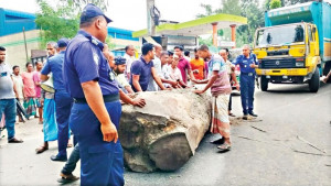 নাগেশ্বরীতে সারের দাবিতে তিন ইউনিয়নে কৃষকের বিক্ষোভ