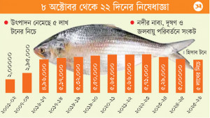 শেষ হচ্ছে ইলিশের মৌসুম, ৩০ শতাংশ কম আহরণ