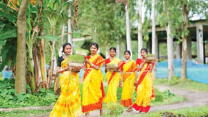 চলনবিলে কারাম উৎসব