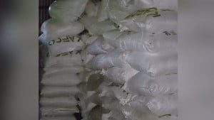 আ’লীগ নেতার গোডাউন থেকে বিপুল পরিমাণ সার জব্দ