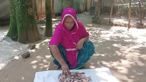 দশ বছরের সঞ্চয় কৌটায়, সব টাকা খেল পোকায়