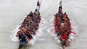 উল্লাপাড়ায় বিএনপি-জামায়াত দ্বন্দ্বে বন্ধ হলো নৌকাবাইচ